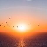 سُرَى