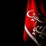الشاعر محمد الشريفي