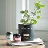 LittleGreene_Samara