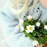 روَحٌ وريّحانْ🌼🤍