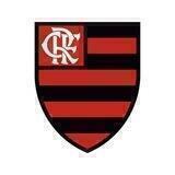Flamengo Coin - BSC
