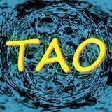 TAO-Chat 🌐 Theorie Aller Ordnung 🌐 Theory About Origin