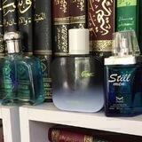 باخچەی عاقلەکان (روضة العقلاء)