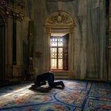 مُزهِرة.