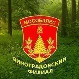 Виноградовское лесничество