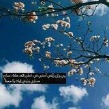 المُلتقى عِندَ الحسين ( ع )