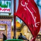 ﴿ مـشكـاه الـزهّـراٰءٓ﮼؏﮼﴾❦📿