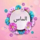 💎 تولیدی همکاری الماس حسینخانی💎
