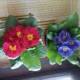 🌺🌺🌺Гозал хикмат🌺🌺🌺