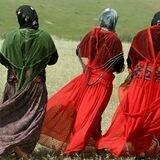 نەقڵی کوردی