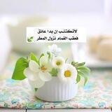 مختارات العواجي (أبو أيوب)
