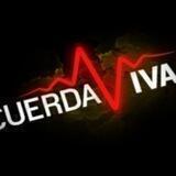 🎸🎶Cuerda Viva_En festival !!!