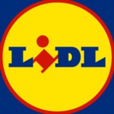 Lidl Italia volantino ( Parkside Silvercrest ...)