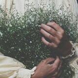 Mahdia | مَهدیا