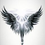 EVOKE SOUL