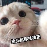 快乐源泉😁沙雕| 奇趣| 搞笑| 囧图
