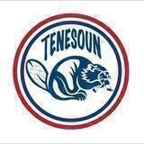 Tenesoun