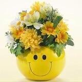 Shafran_art_home_flowersss