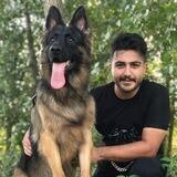 Erfan jafari | مربي سگ