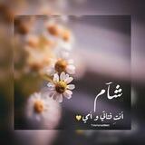 شامنـآٱ🌸