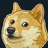 WhatsWrongWithYourDog