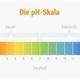 Basisch Leben
