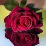 💜 همسات دافئه 💜