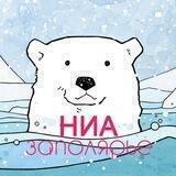 НИА-Заполярье