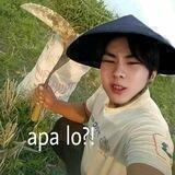 RULES UNTUK MENJADI ASU KAYANG DAN BUAYA DARAT