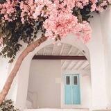 أمــل⛅️