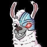 MetaLama 🦙 (Official Group)