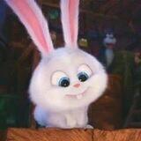 Snowball