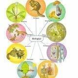 Biologiya MİQ_Sertifikasiya