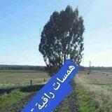 همسات راقيه