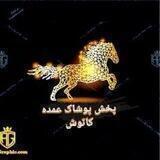 پخش عمده پیراهن و تی شرت کاتوش