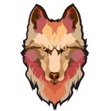 深圳狼友出击大队🐺