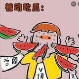 被动吃瓜