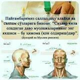 Хижама Андижон Hijama Асака Шахрихон Хонобод Қурғонтепа Избоскан
