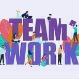 Team check stok