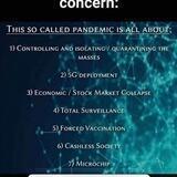 The Truth About The Covid 19 Plandemic