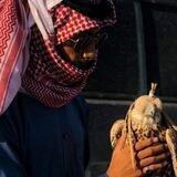 ععّـون١.