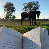 طـَ 🌱