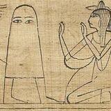 MEDJED