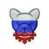Pitbull Russian