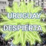 🇺🇾URUGUAY DESPIERTA (Canal)
