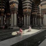 حياه 🤍