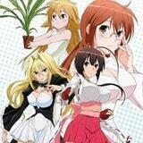 Sekirei Uncensored Dual