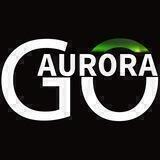 GoAurora: Северное сияние в Санкт-Петербурге