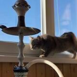 My Balcony | MBL Hookah