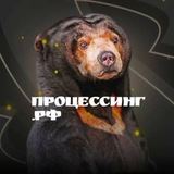 ПРОЦЕССИНГ.РФ - СМИ